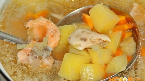 уха из головы семги