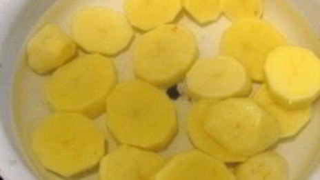 уха из головы сома