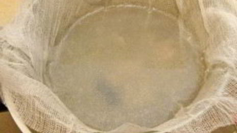 уха из головы сома