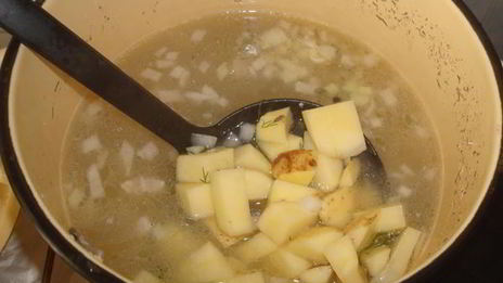 уха из карпа