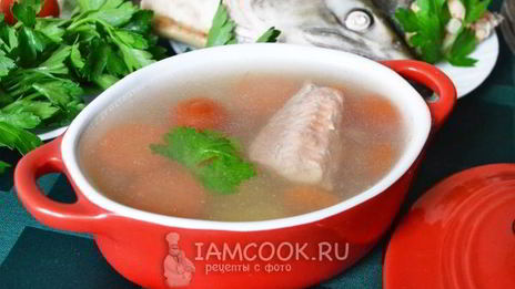 уха из кеты