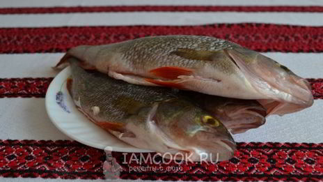 уха из речного окуня