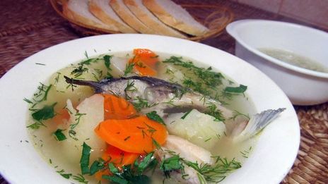 уха из речной рыбы