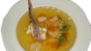 Уха из стерляди с речной рыбой