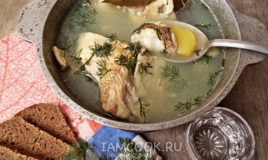Рецепт уха из судака по-рыбацки