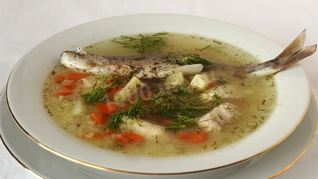 Уха из терпуга