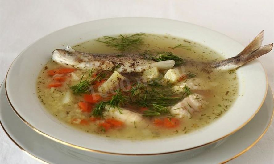 Рецепт уха из терпуга