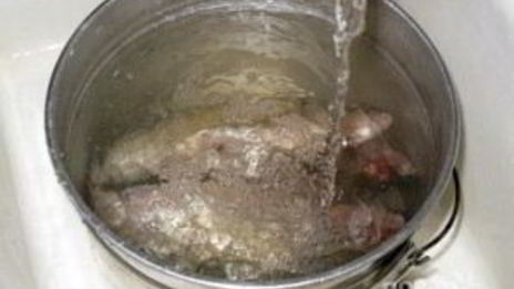 уха на природе