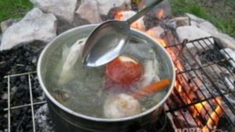 уха на природе