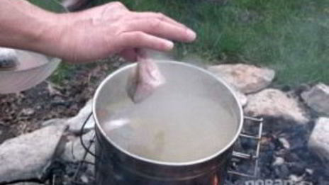 уха на природе