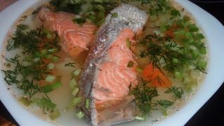 Уха с семгой