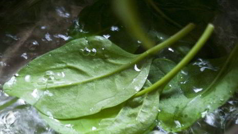 запеченный суп с фасолью и щавелем