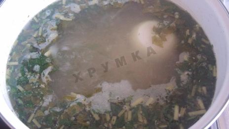 зеленый суп с щавелем, яйцом и мясом