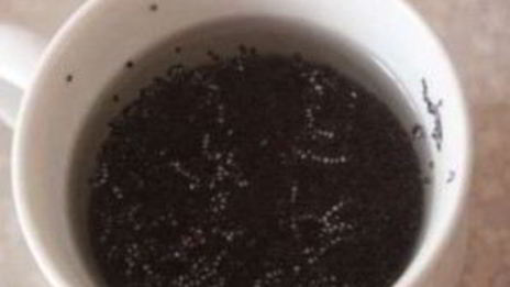 блинчики с маком и творогом