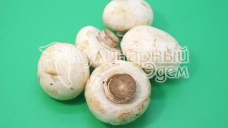 фаршированные блины с грибами и сыром