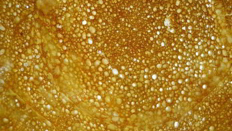 легкие блины без соды и дрожжей