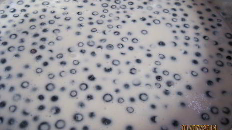 чизкейк с черникой без выпечки