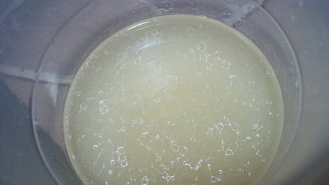 хлеб с сыром и ветчиной