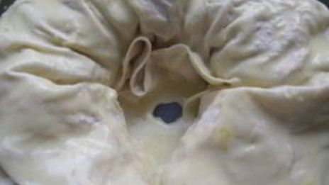 лаваш с фаршем и сыром