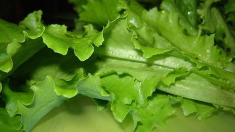 лаваш со свежими овощами