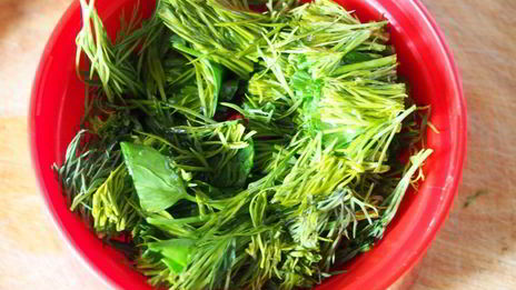 лепешки с зеленью