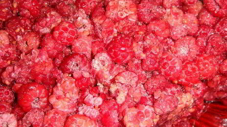 овсяные оладушки с малиной