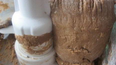 шоколадное печенье с кунжутом