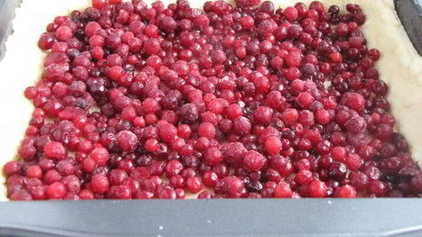 пирог с брусникой и сметаной