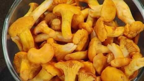 пирог с лисичками в горшочке