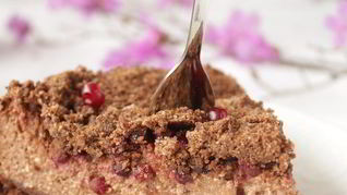 Шоколадно-творожный пирог с брусникой