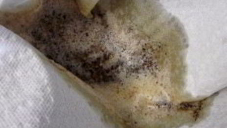 французские миндальные пирожные финансье