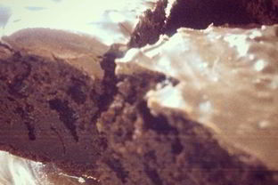 Шоколадный брауни на темном пиве