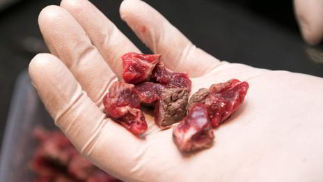 пицца барбекю