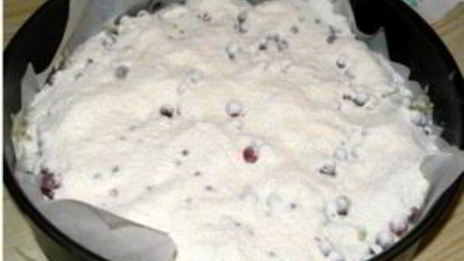 шарлотка с брусникой и яблоками