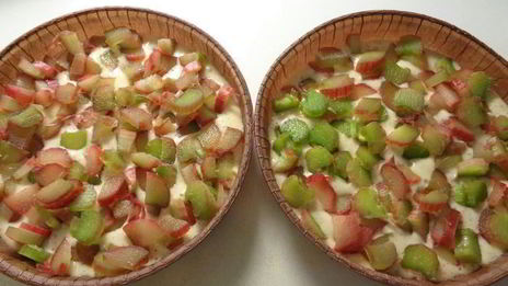 шарлотка с ревенем, вяленой вишней и пряностями