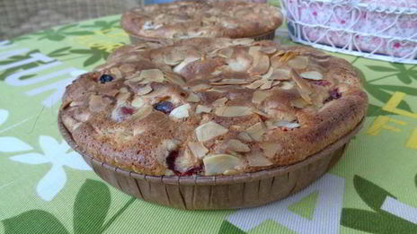 шарлотка с ревенем, вяленой вишней и пряностями