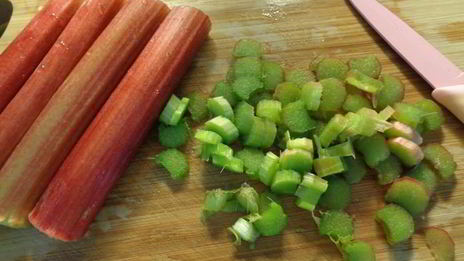 шарлотка с ревенем, вяленой вишней и пряностями