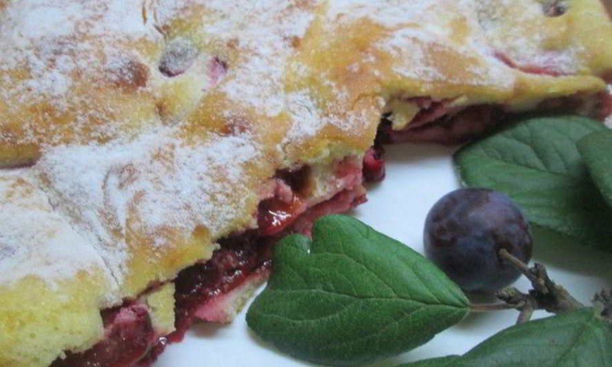 Рецепт шарлотка сметанная слава сливам