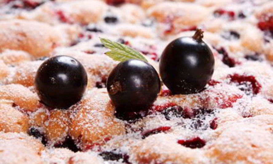 Рецепт шарлотка со смородиной