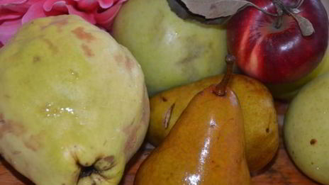 фруктовый штрудель