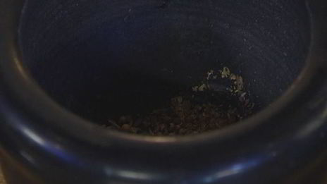 штрудель с запеченным красным перцем и луком-пореем