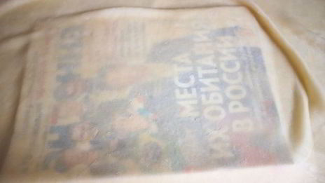 вишневый штрудель