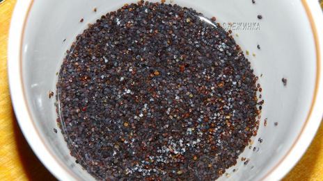 сырники с изюмом и маковым соусом по-белорусски