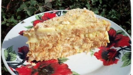 ленивый наполеон