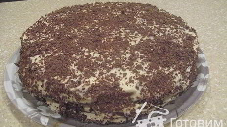 медовый торт капучино