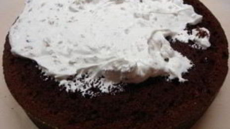 поль робсон торт