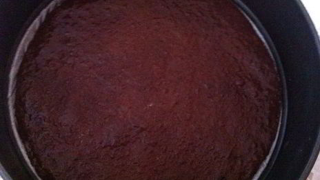 шоколадно-лимонный медовик