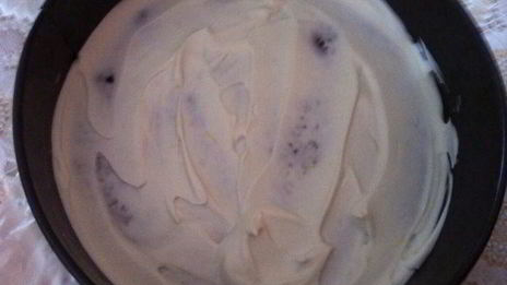 шоколадно-лимонный медовик