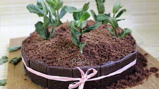 Шоколадно-мятный торт