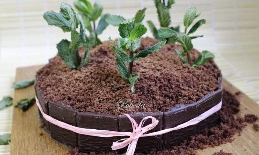 Рецепт шоколадно-мятный торт